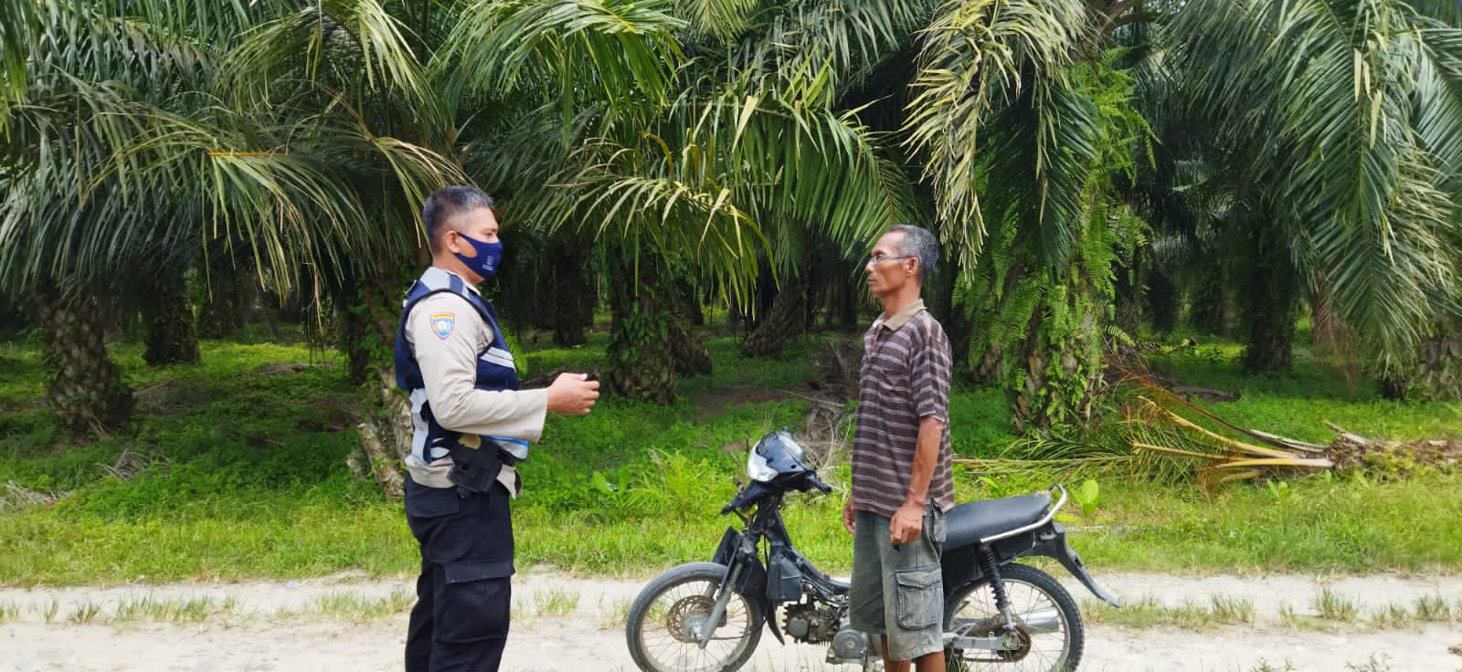 Apresiasi Petani Kelapa Sawit Terhadap Pemerintah RI