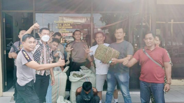 Kapolsek Tebing Tinggi AKP Maruli Tua Simanjorang Pimpin Penangkapan Kurir Ganja 50 Kg