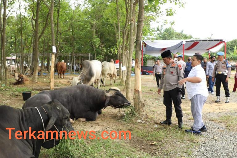 Idul Adha 1443 H, Kapolda Sumut: Momentum untuk saling membantu dan menguatkan persaudaraan