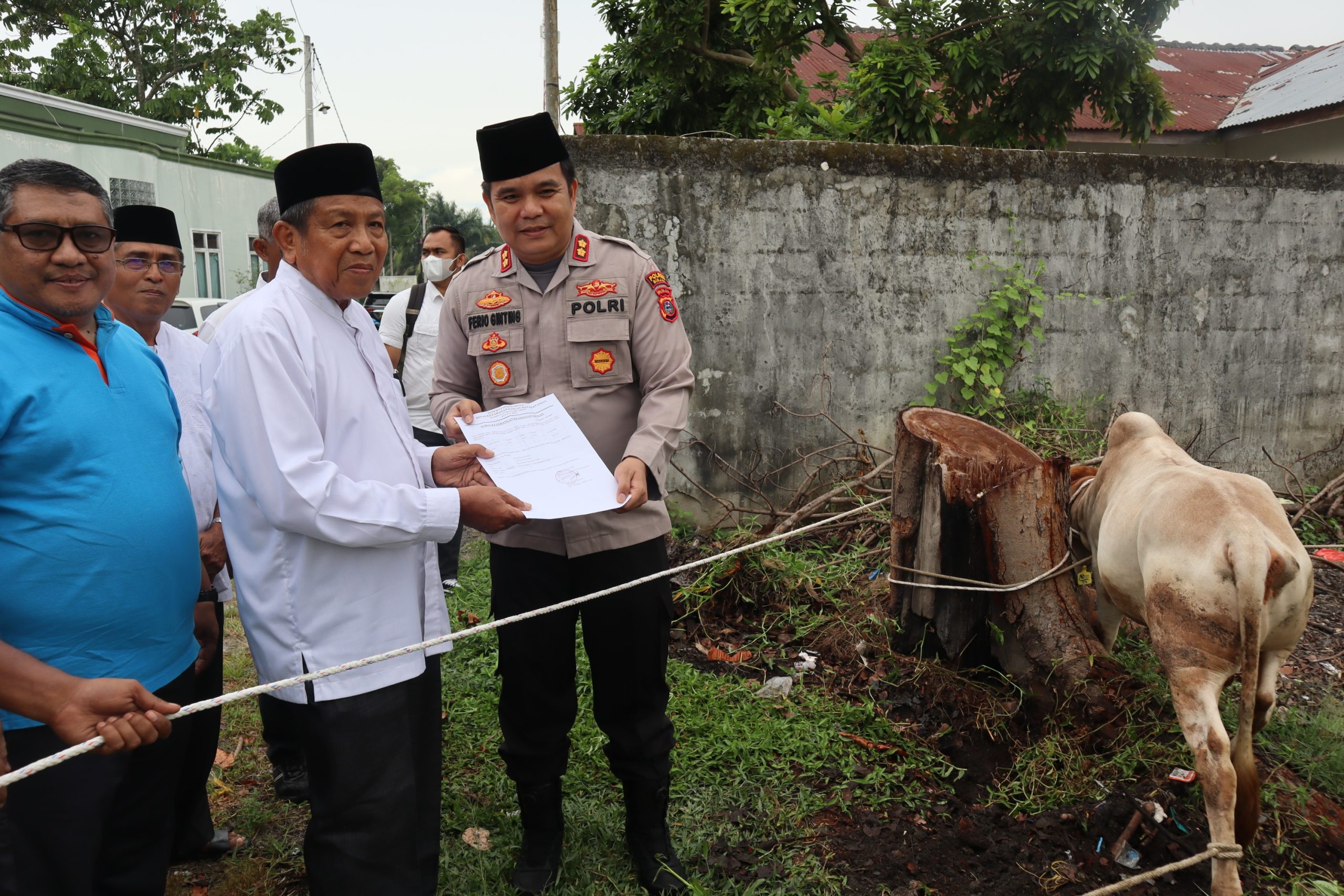 KAPOLDA SUMUT SUMBANGKAN 1 EKOR SAPI KEPADA MUI BINJAI