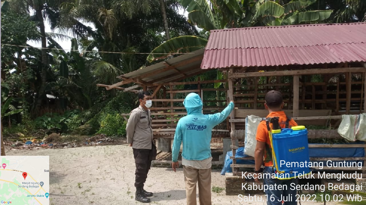 Cegah PMK, Bhabinkamtibmas Polsek Teluk Mengkudu Sambangi Peternak Sapi di dusun lV desa Pematang Guntung Kec. Teluk Mengkudu Kab. Serdang Bedagai