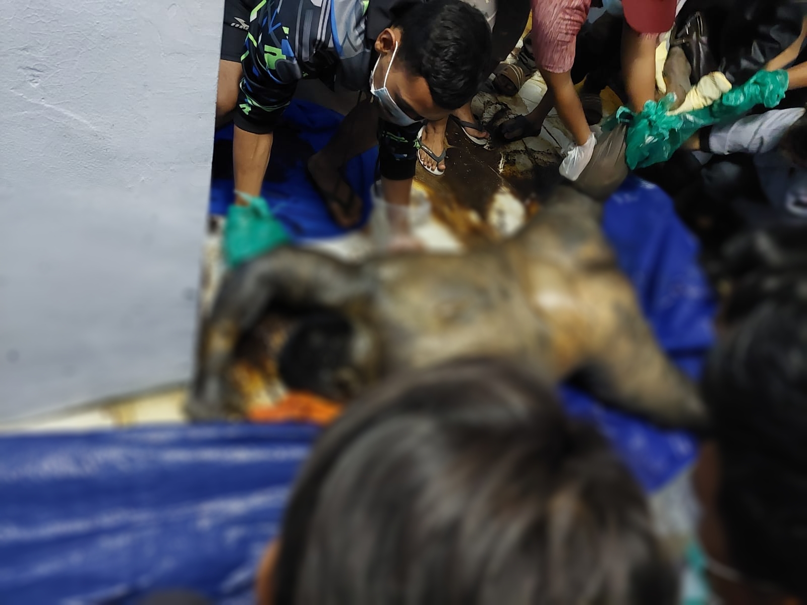 Binjai heboh, Ditemukan Seorang Mayat Pria di Rumah Kontrakan