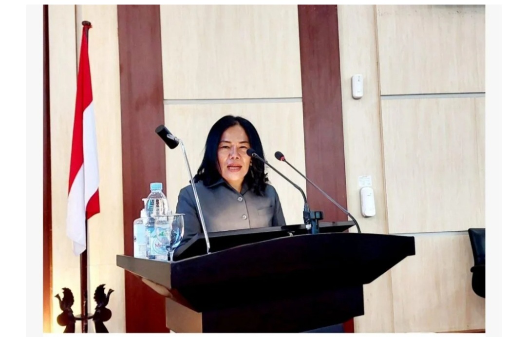 Pelayanan Puskesmas Ditingkatkan Minta Modesta Marpaung Anggota DPRD Medan