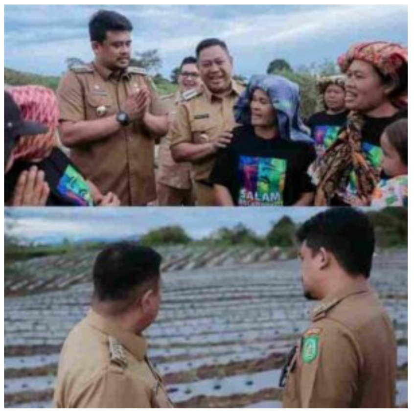 Wali Kota Medan Bobby Nasution .Kunjungi Petani Parbuluan V Dairi