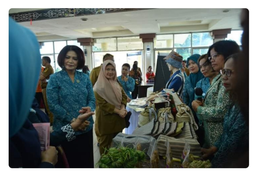 Tim Penggerak PKK Sumatera Utara Supervisi Desa Pelaksana Terbaik Di Dairi