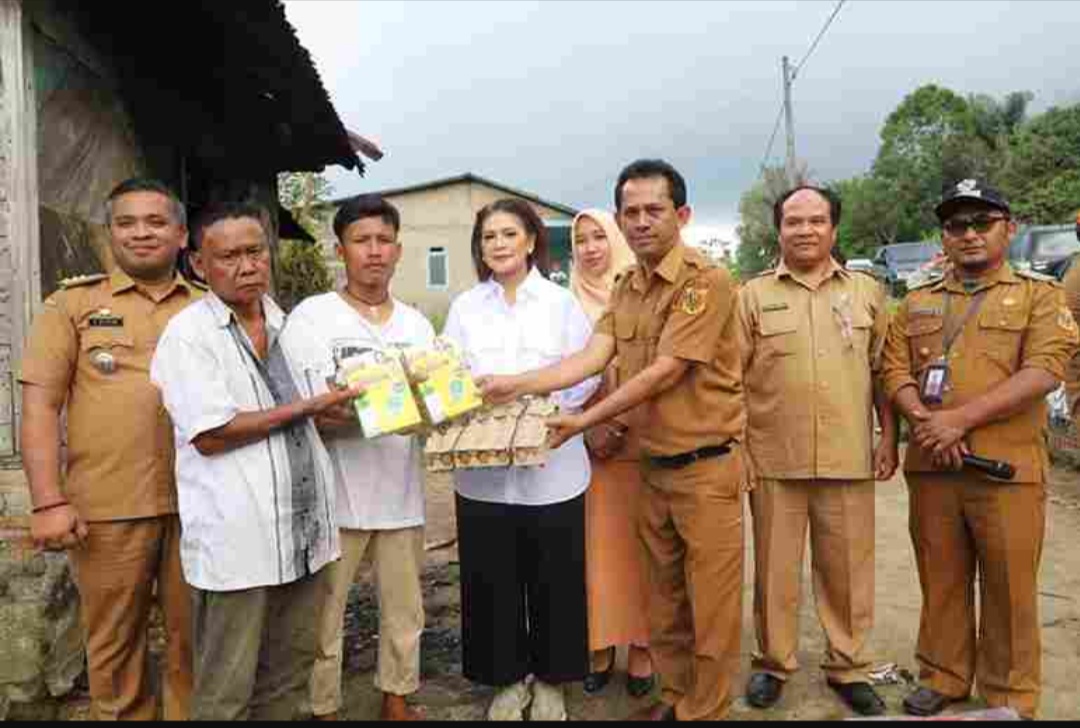 Ketua PKK Dairi Romy Mariani Serahkan Bantuan Pada Warga Korban Musibah Kebakaran