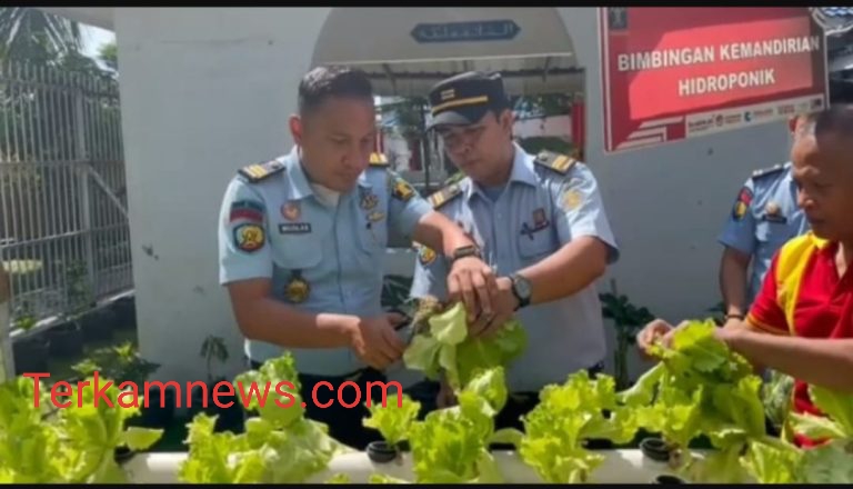 Hasil Giat Budidaya Warga Binaan, Rutan Kelas I Medan Kumham Sumut Panen Sayuran Selada Sistem Hidroponik