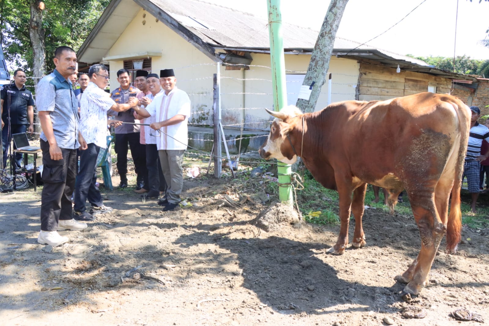 IDUL ADHA 1444 H POLRES BINJAI SEMBELIH HEWAN QURBAN 7 EKOR SAPI DAN 7 EKOR KAMBING