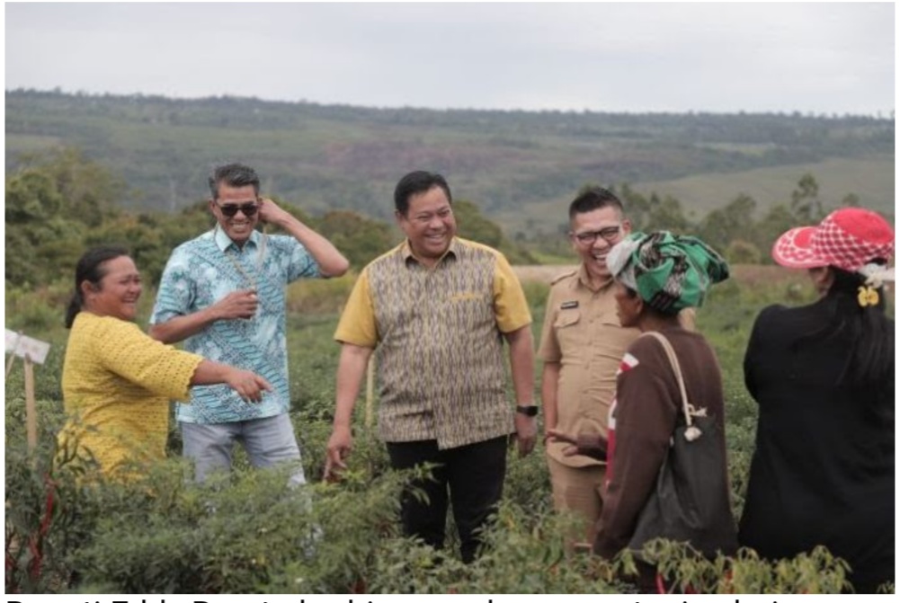 Konsep Pertanian Presiden Jokowi dan Implementasi Bupati Dairi Eddy Berutu dengan Program Agri Unggul