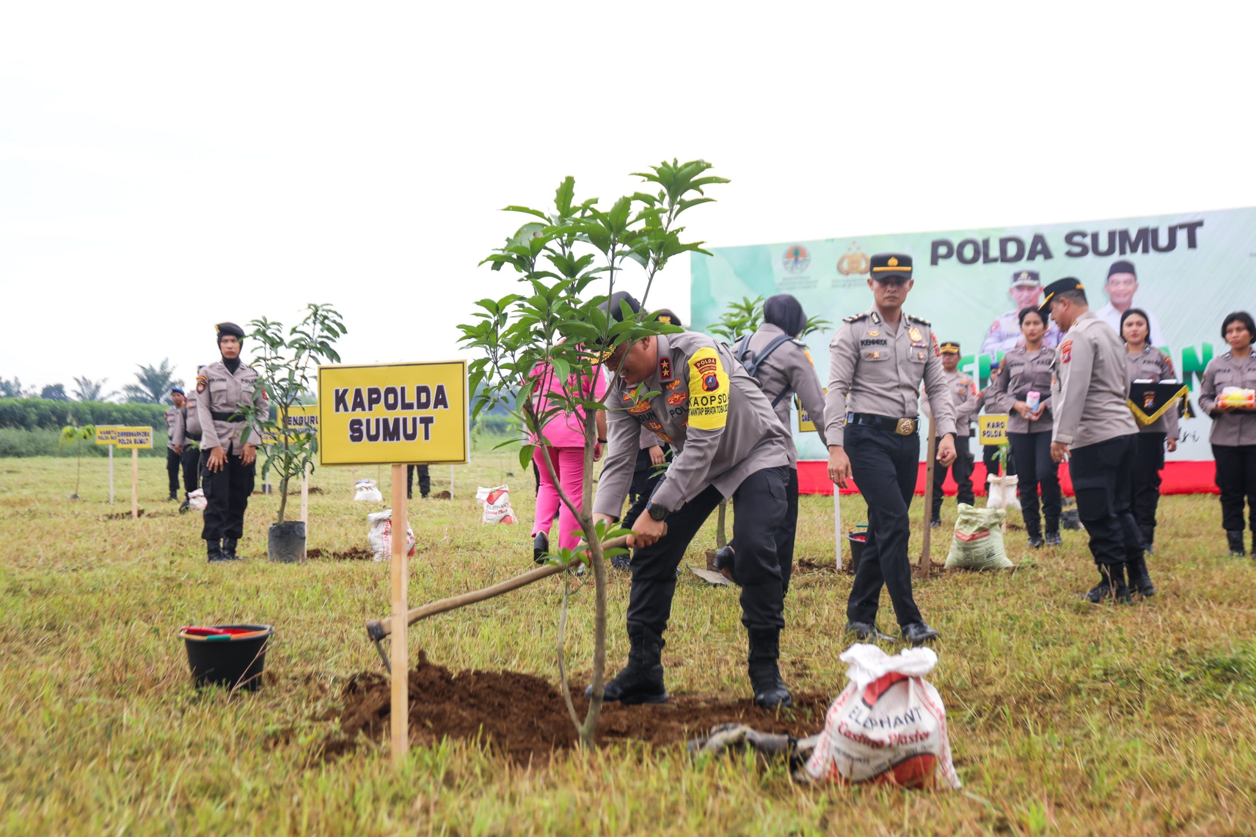 Jaga kelestarian Alam, Polda Sumut Tanam 3.200 Pohon