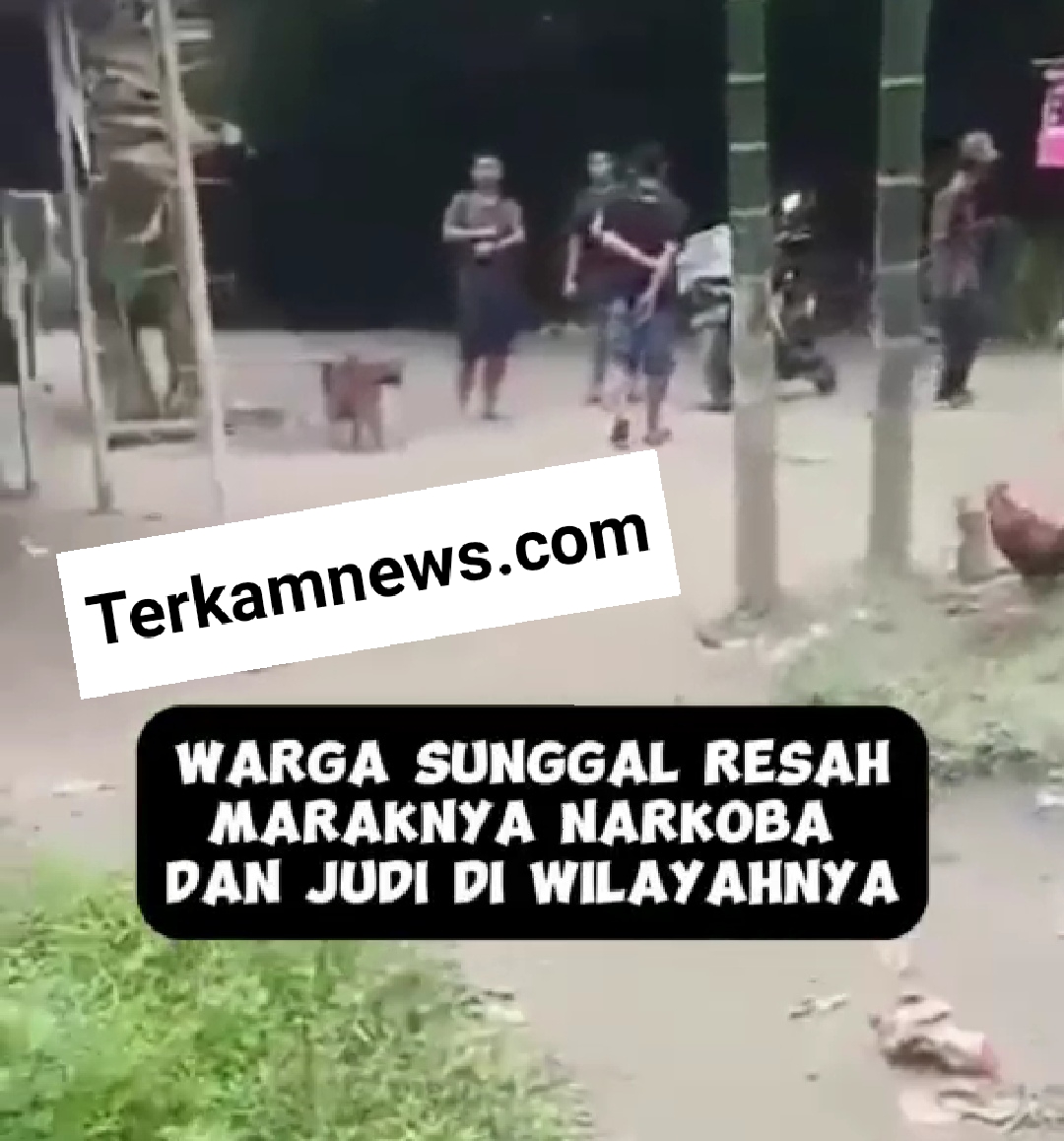 Viralisme Aksi Keberanian Seorang Warga Lihatkan Tempat Perjudian Di Medan Sunggal.