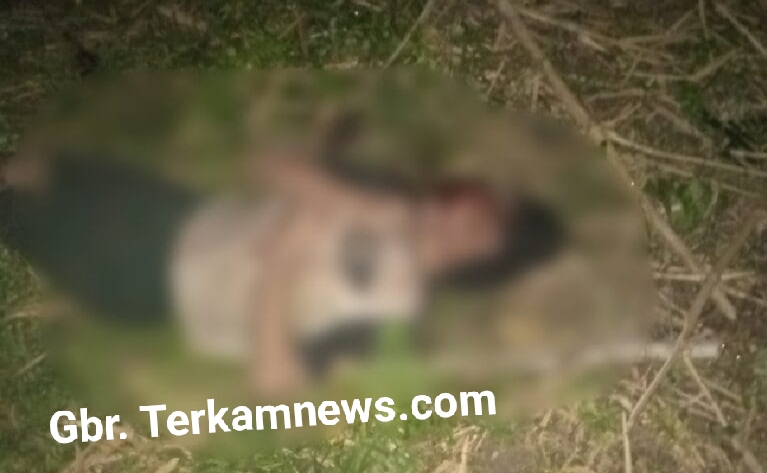 Diduga Komplotan Pencuri Lembu Satu Tewas Satu Kritis di Amuk Massa di Kabupaten Sergei .