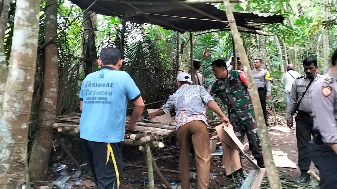 Polsek Dolok Masihul Polres Sergai Bersama Unsur Forkopimcam Bongkar Gubuk Jadikan Lokasi Transaksi Narkoba