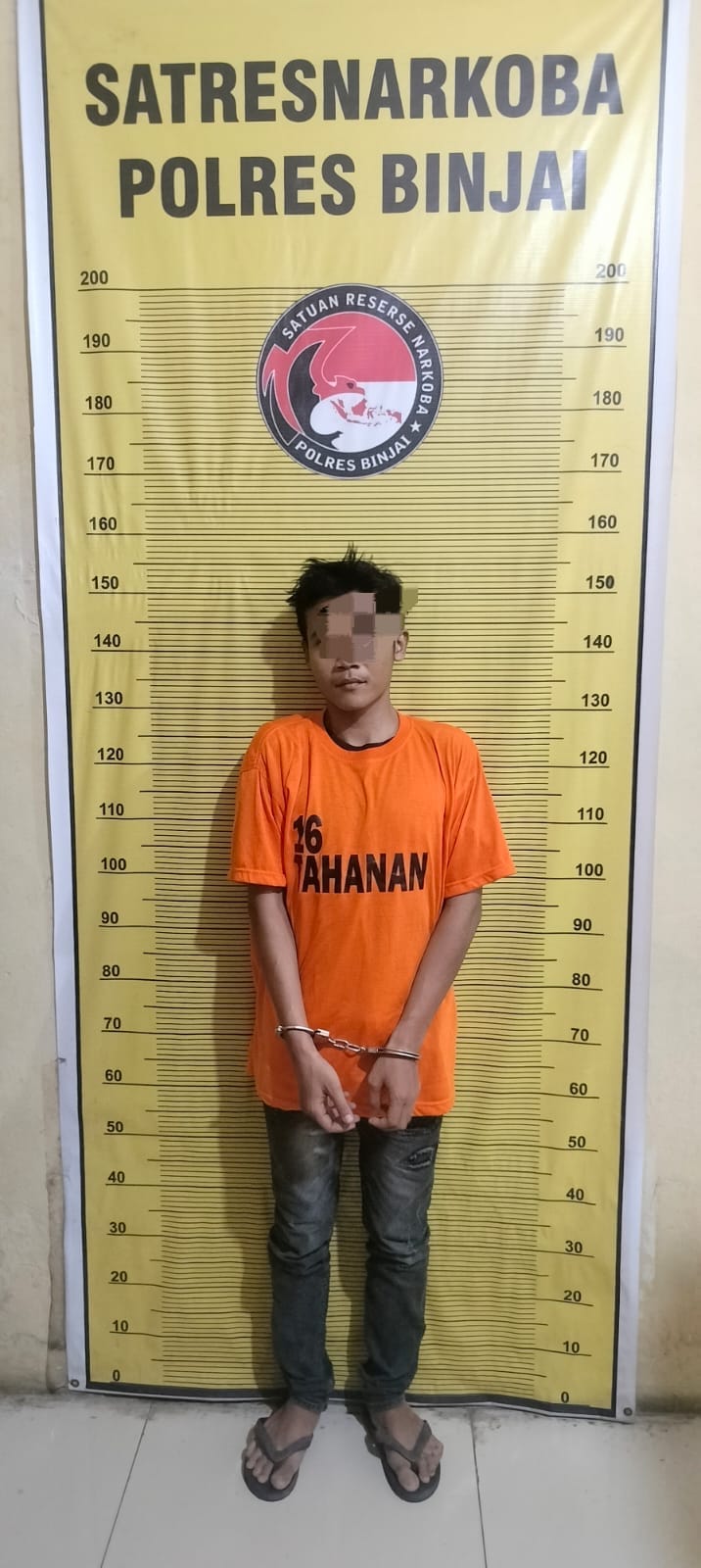 BANDAR NARKOBA SIAP ANTARKAN PESANAN DI TANGKAP SATRES NARKOBA POLRES BINJAI