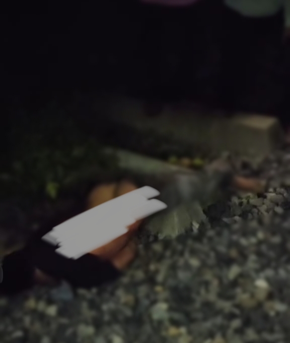 Seorang Remaja Meninggal Dunia Di Sambar Kereta Api