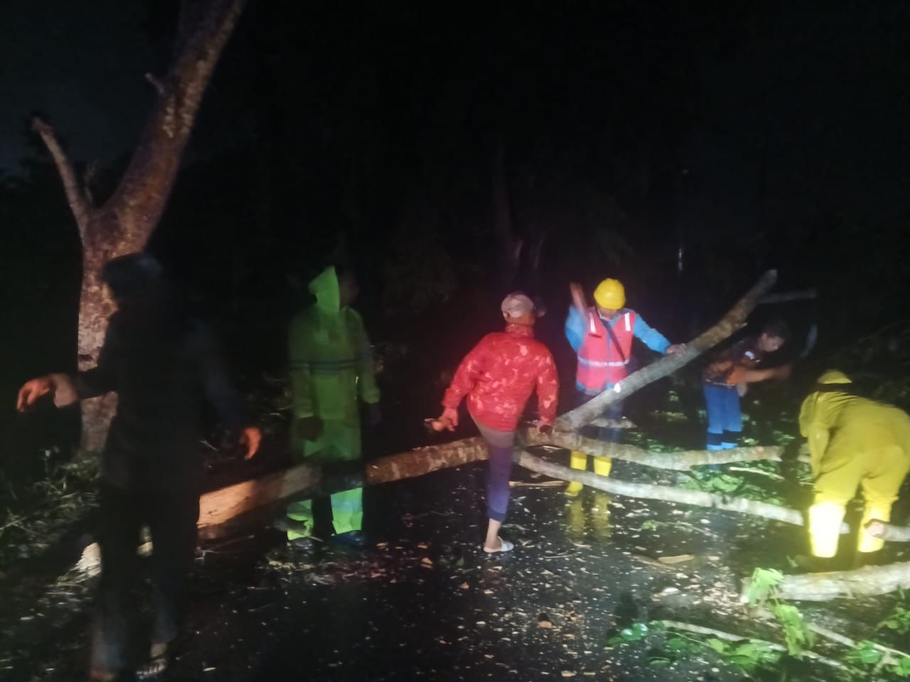 Akibat Hujan Dan Angin Kencang Mengakibatkan Pohon Tumbang Melintang Dijalan Proklamasi Stabat