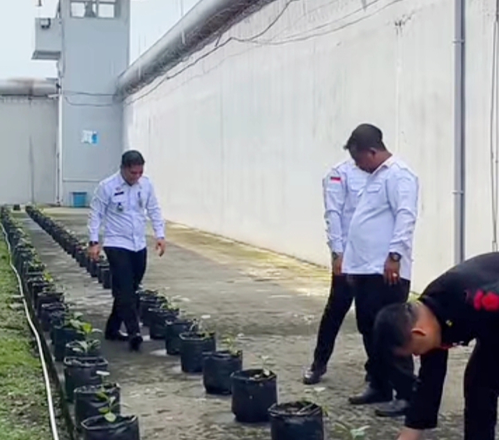 Rutan Kelas I Medan Kumham Sumut Lakukan Cek Pertumbuhan Bibit Terong Dan Cabai Dukung Ketahanan Pangan