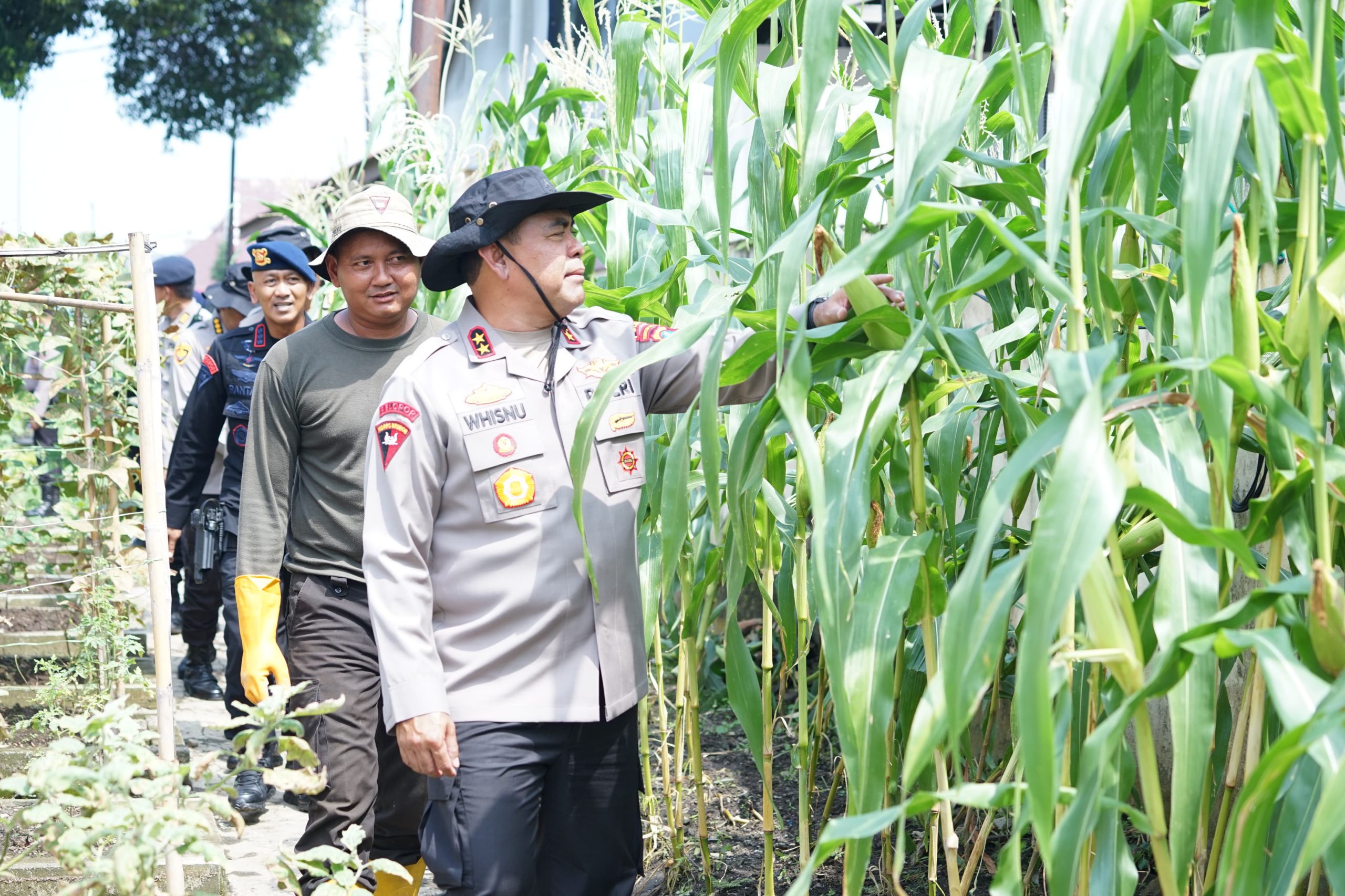 Kapolda Sumut Tinjau Ketahanan Pangan, Wujudkan Program Prioritas Presiden