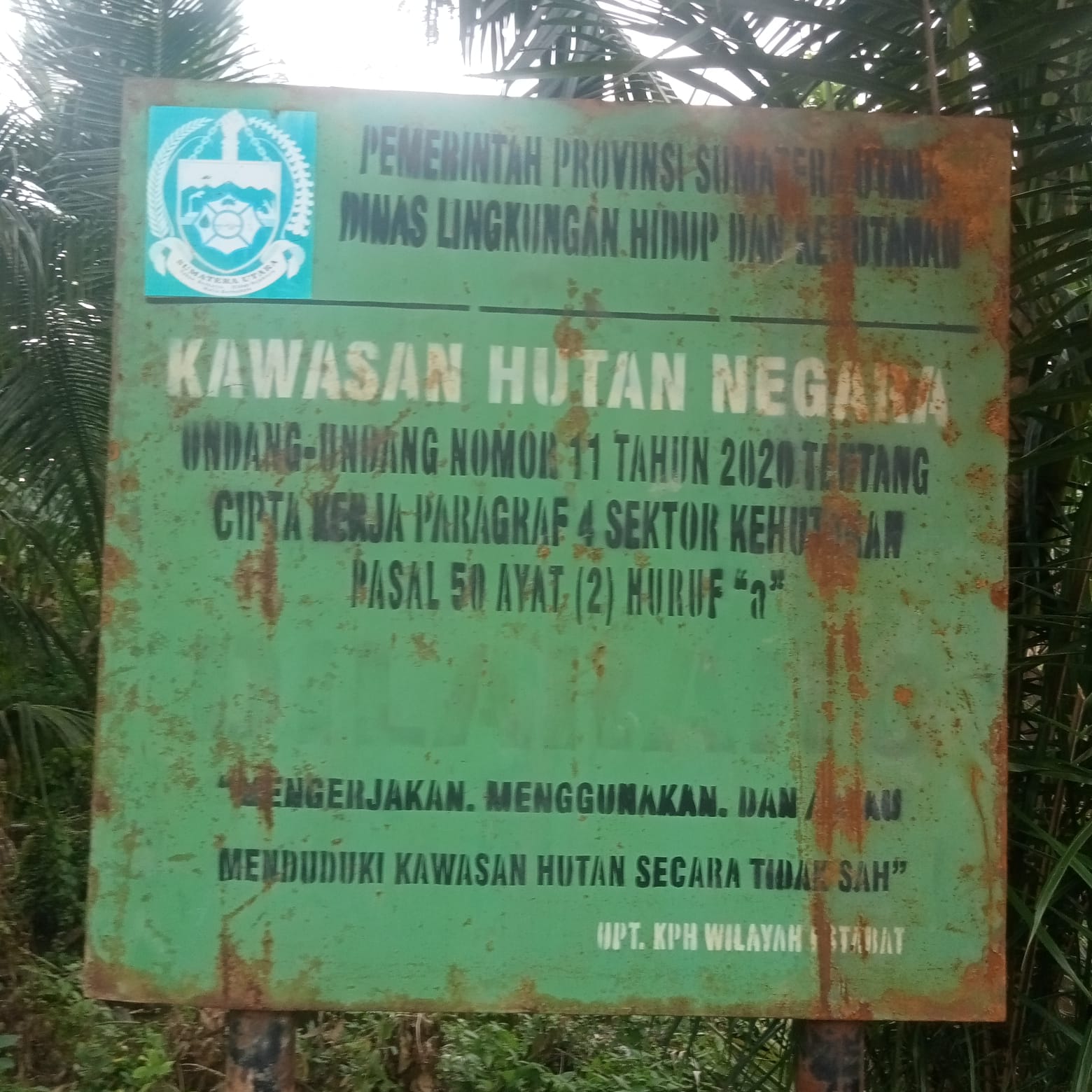 PAGAR ILEGAL DITEMUKAN DIKAWASAN HUTAN LINDUNG MILIK NEGARA
