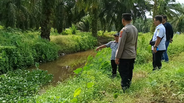 Tim Gabungan Polres Sergai Bersama Instansi Terkait Berhasil Temukan Seorang WargaTak Bernyawa Tenggelam di Sungai Dusun I Pejemuran Desa Silau Rakyat