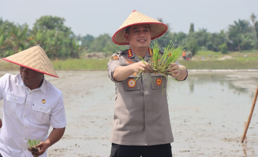 Kapolresta Deli Serdang Hadiri Gerakan Tanam Padi Serentak di Desa Pasar Miring