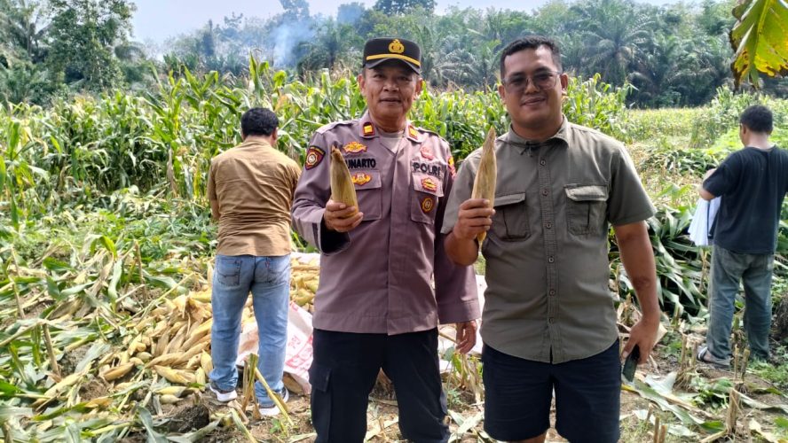Polsek Dolok Masihul Polres Sergai Solid Jalin Sinergitas Dukung Program Ketahanan Pangan Pemerintah