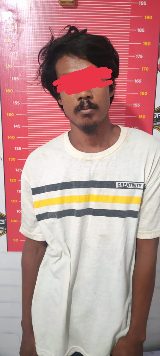 Terekam CCTV, Pencuri Kepiting Bakau Diamankan Polsek Tanjung Beringin Polres Sergai