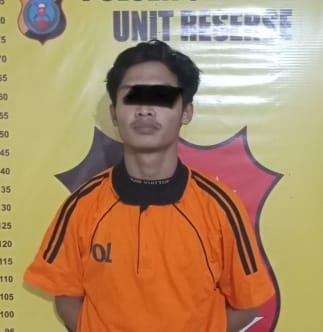 Asik Curi Sawit Milik PT, Pelaku Di Ciduk Polisi