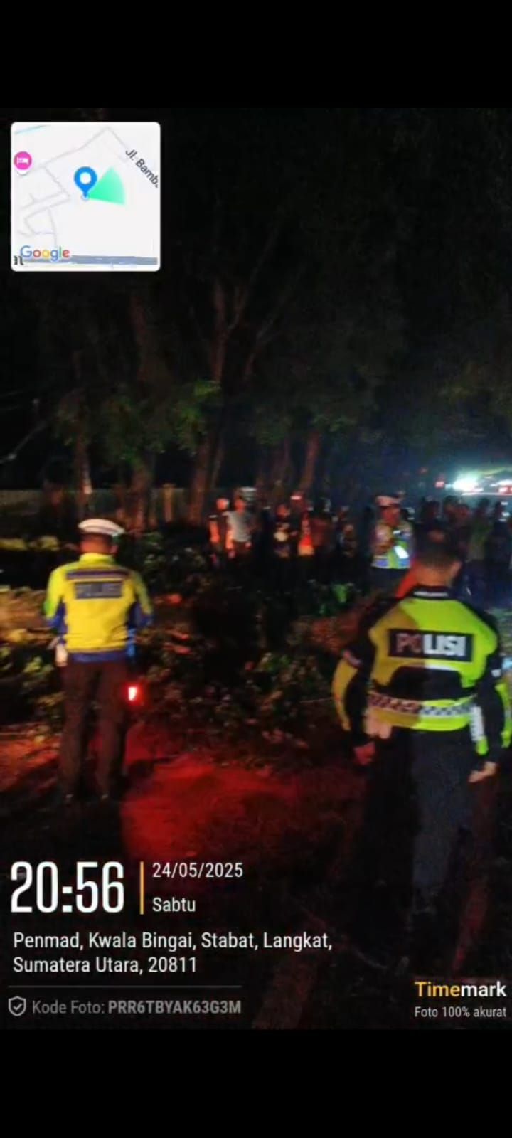 Langkah Cepat Satlantas Polres Langkat Saat Pohon Tumbang Lumpuhkan Jalan