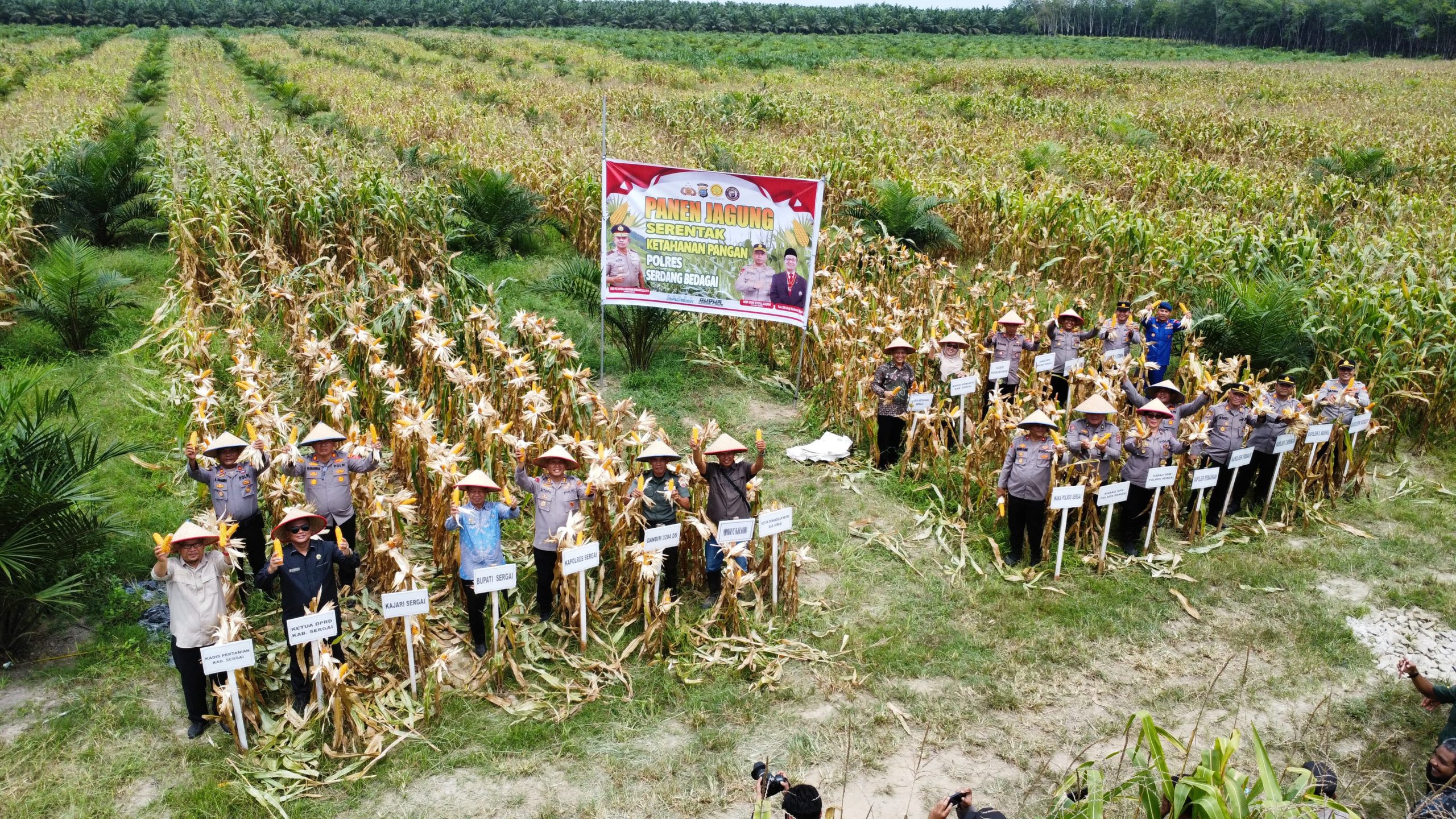 Kapolres Sergai Bersama Forkopimda Laksanakan Panen Raya Jagung Serentak Kuartal II tahun 2025