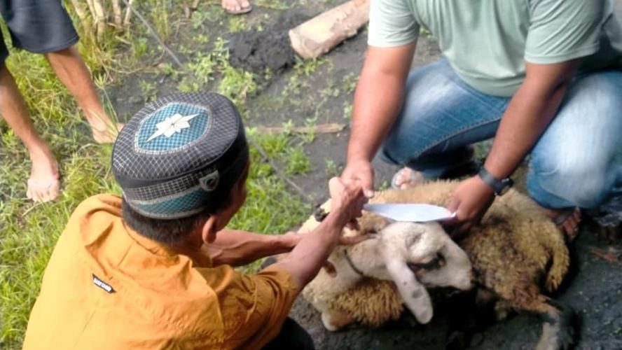 TOKOH PEMUDA SEKALIGUS PENGURUS DPC AKPERSI KABUPATEN SERDANG BEDAGAI BERBAGI DAGING QURBAN KEPADA MASYARAKAT.