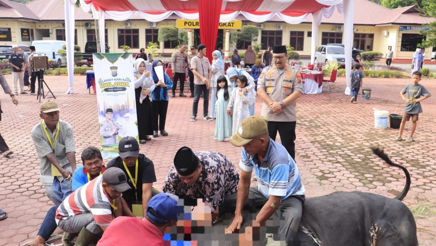 Kapolres Langkat Serahkan 12 Ekor Sapi dan 5 Ekor Kambing Hewan Qurban di Momen Idul Adha 1446 H