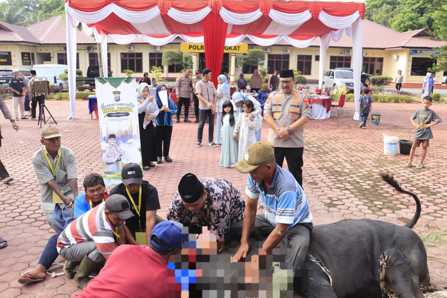 Kapolres Langkat Serahkan 12 Ekor Sapi dan 5 Ekor Kambing Hewan Qurban di Momen Idul Adha 1446 H