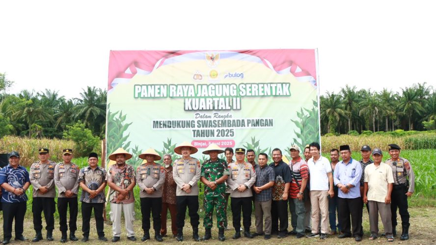 Swasembada Pangan Kapolres Binjai Panen Raya Kuartal II Di Desa Padang Cermin
