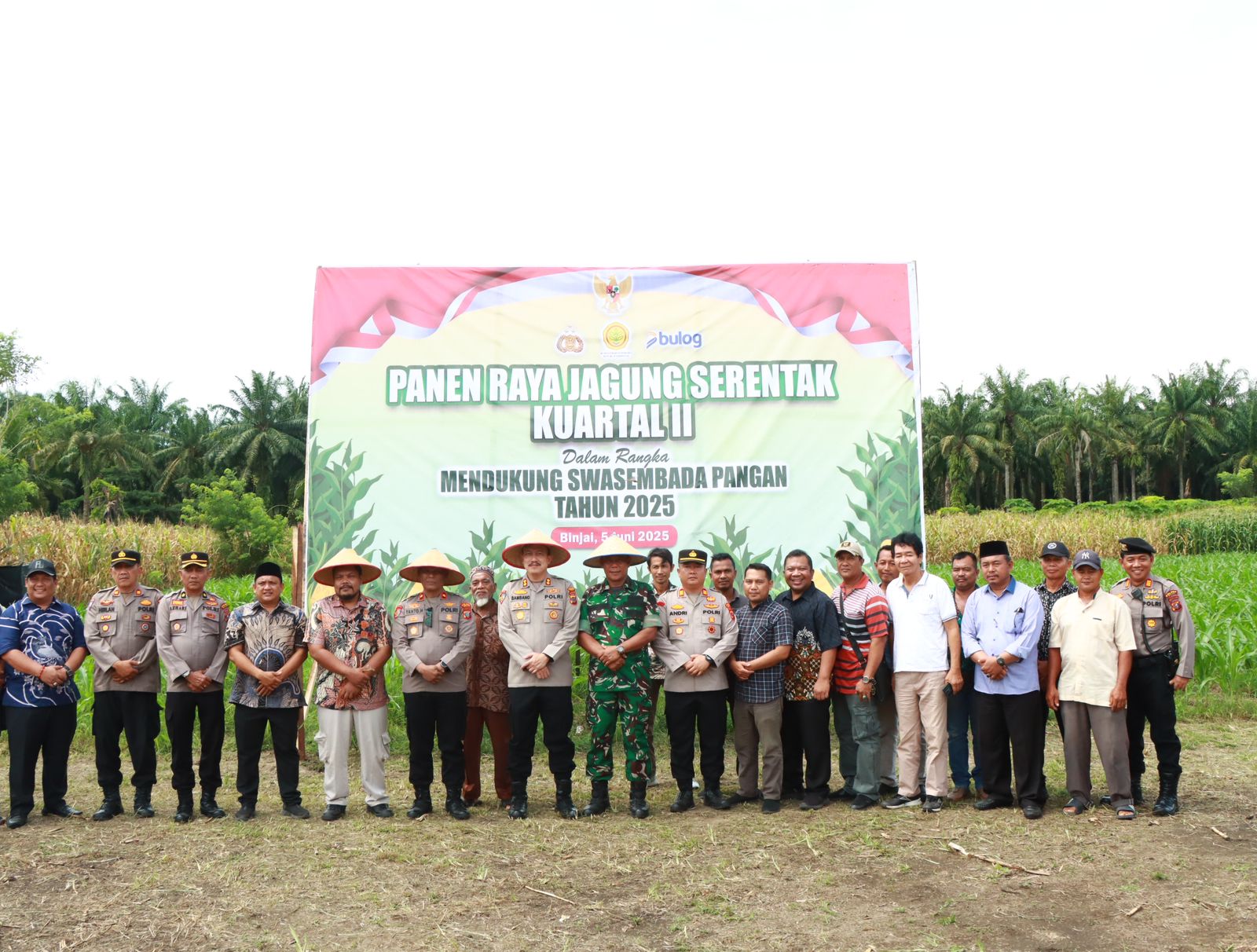 Swasembada Pangan Kapolres Binjai Panen Raya Kuartal II Di Desa Padang Cermin