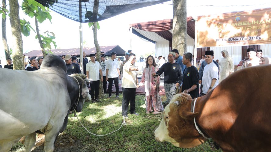 Polda Sumut Salurkan Ribuan Paket Daging Qurban Untuk Masyarakat Di Hari Raya Iduladha 1446 H