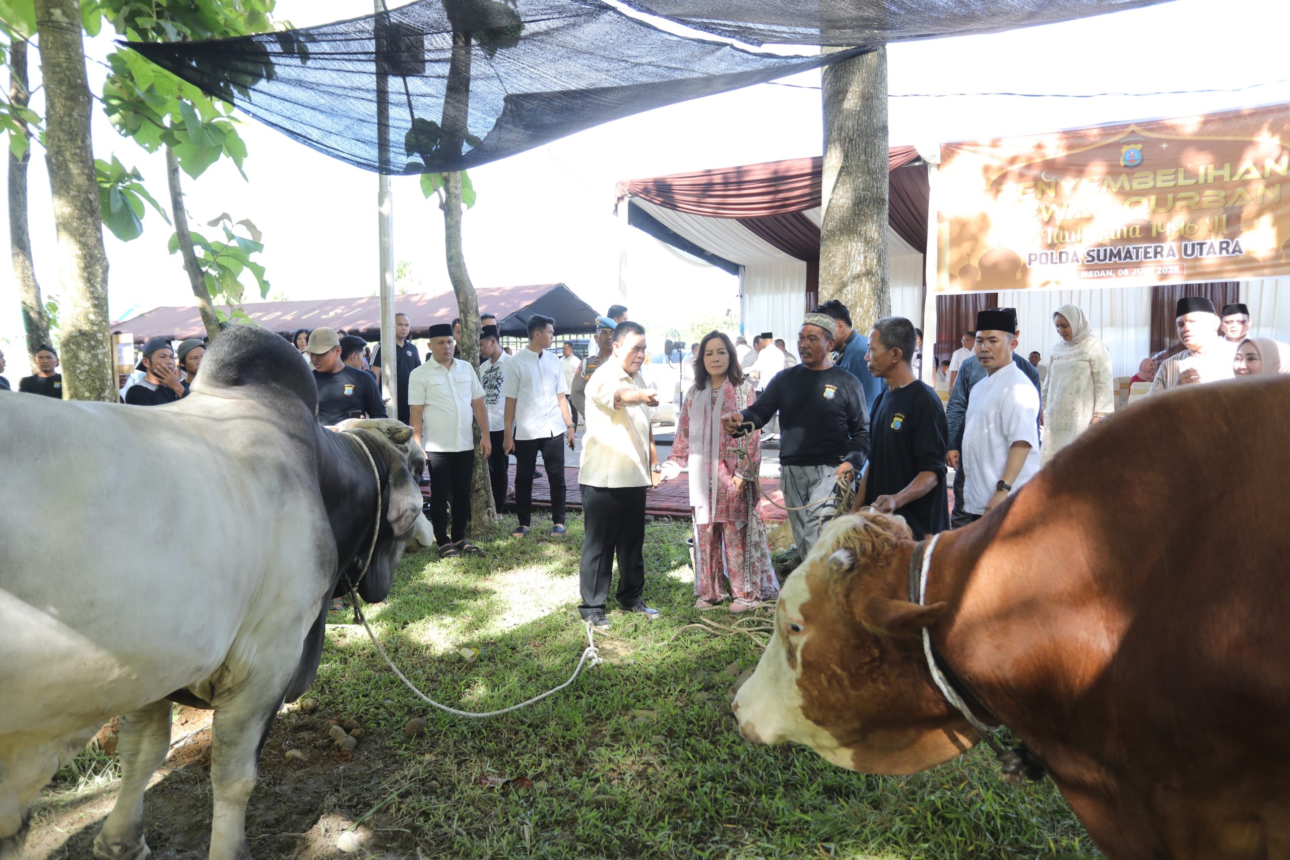 Polda Sumut Salurkan Ribuan Paket Daging Qurban Untuk Masyarakat Di Hari Raya Iduladha 1446 H