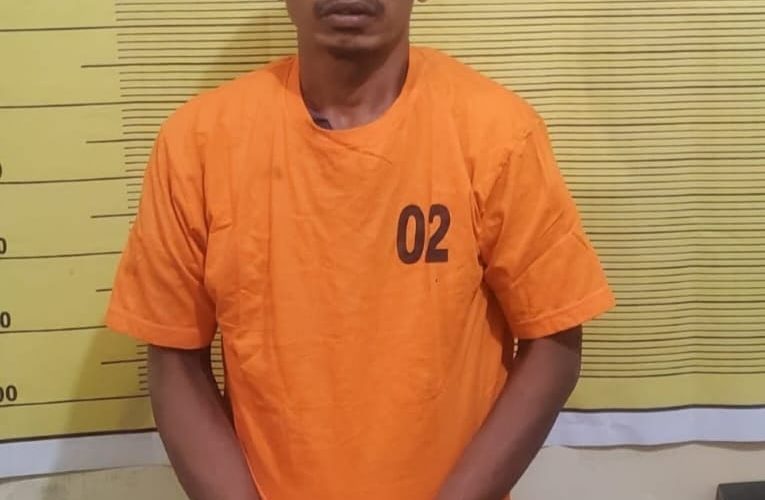Wajah Pelaku Terekam CCTV, Maling Ditangkap Polres Binjai