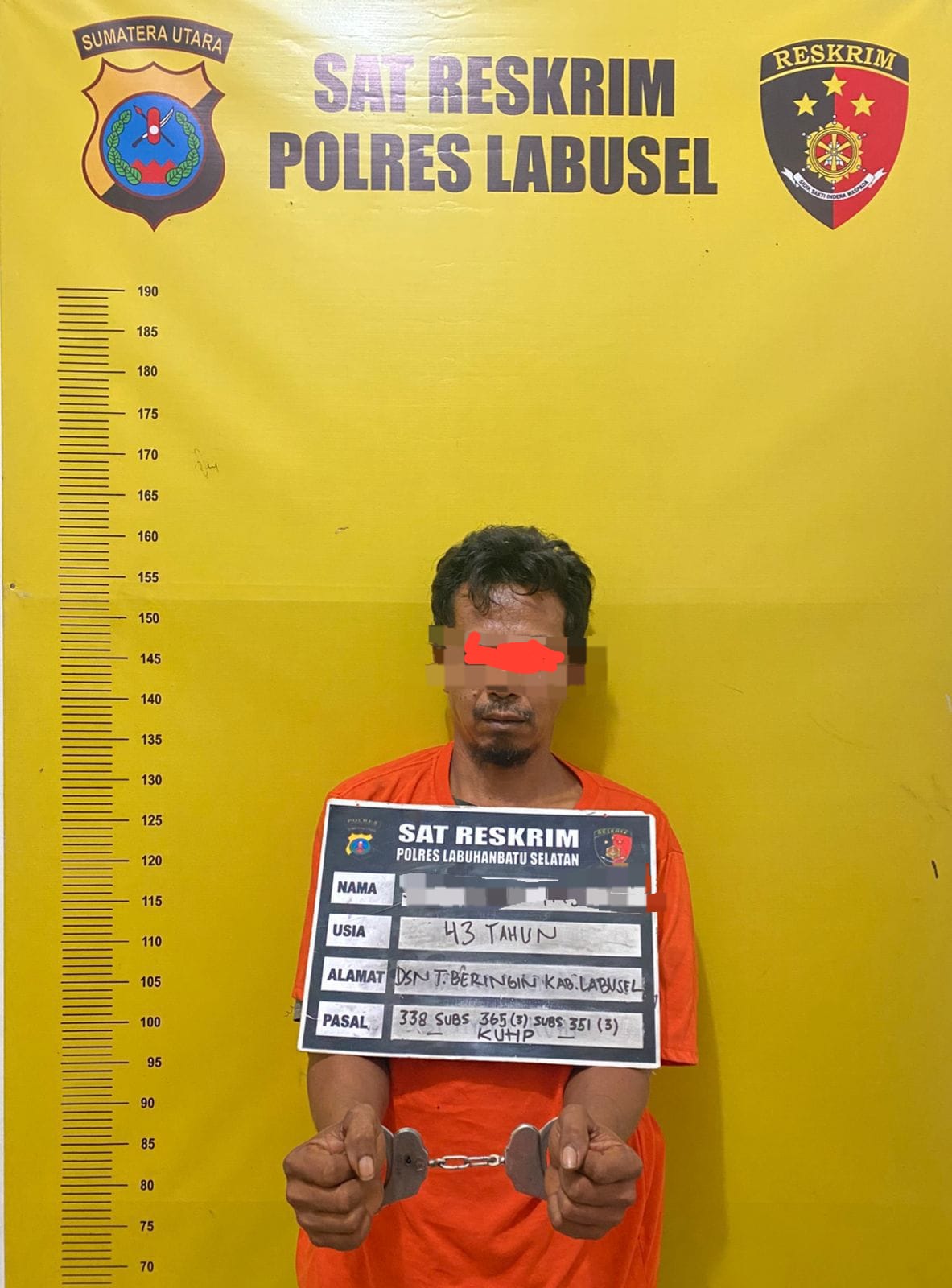 Respons Cepat Polres Labusel, Pelaku Pembunuhan Penjaga Kebun Sawit Di Desa Binanga Dua Ditangkap