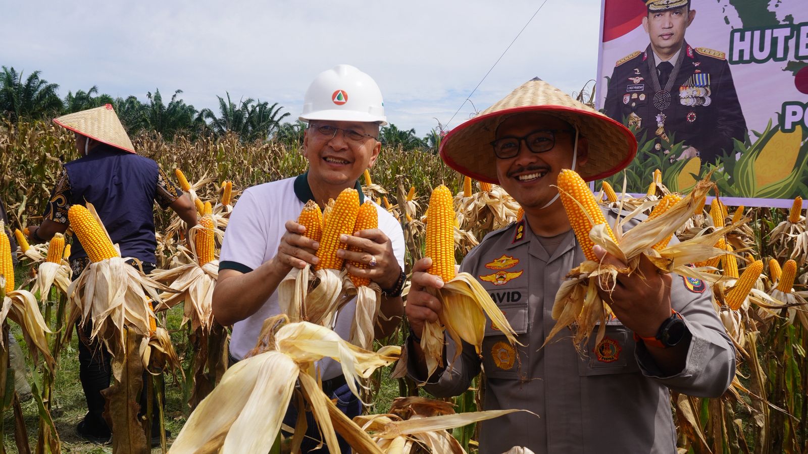 Polres Langkat Gelar Panen Raya Jagung Dukung Ketahanan Pangan Nasional, Sambut Hari Bhayangkara Ke-79