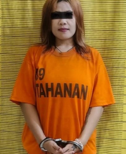 Ibu Rumah Tangga Nyambi Jadi  Bandar Narkoba