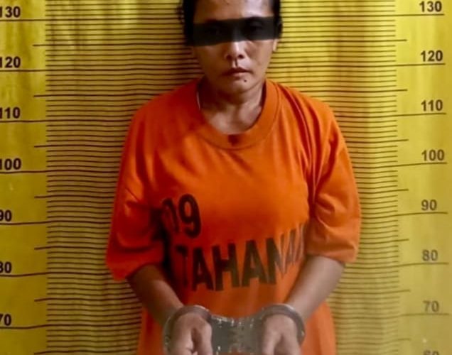 Jual Narkoba di Tunggorono Seorang IRT, Diboyong Ke Polres Binjai