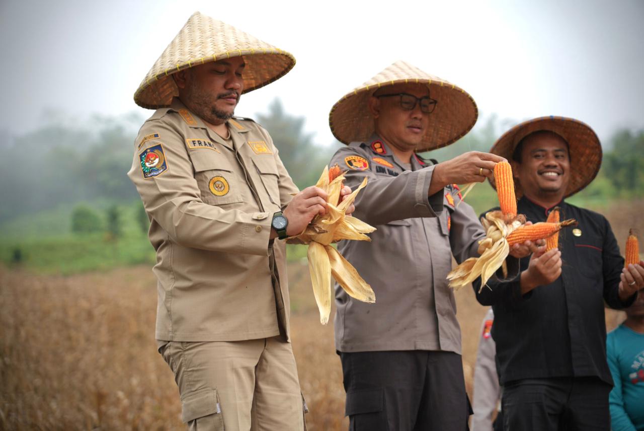 Bupati Pakpak Bharat Mengikuti Panen Raya Jagung Kuartal II Bersama Kepolisian Resort Pakpak Bharat.