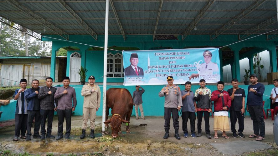 Bupati Pakpak Bharat Serahkan Hewan Qurban Presiden R.I Prabowo Subianto di Mesjid Al Iklas Desa Maholida Kecamatan STTU Jehe.