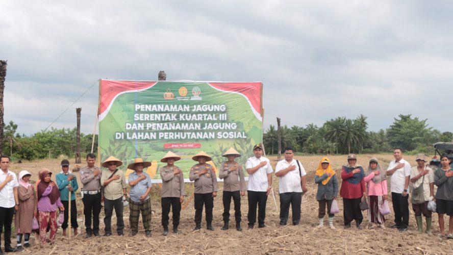 Polres Binjai Bersama Masyarakat Payaroba Melaksanakan Penanaman Jagung