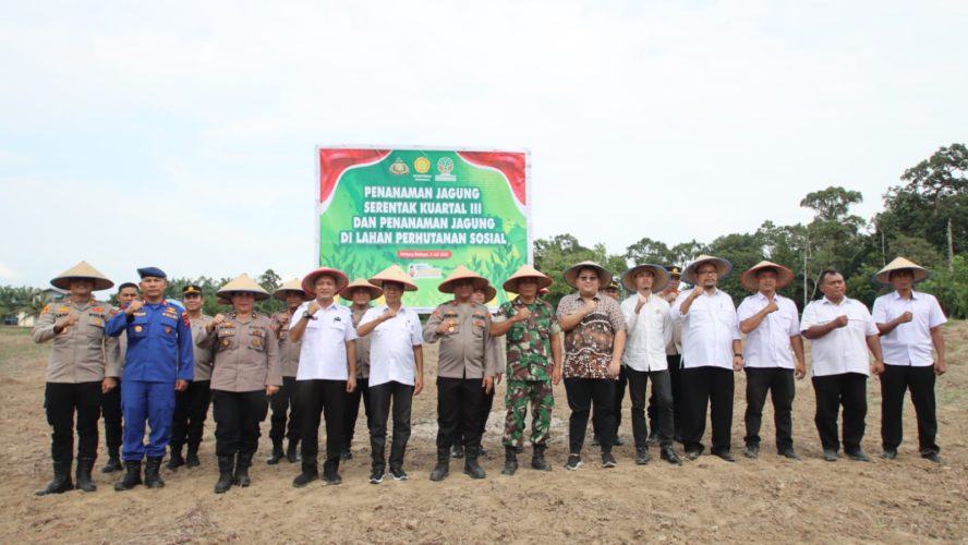 Polres Sergai Mendukung Penuh Progam Ketapang Nasional, Tanam Jagung Serentak Kuartal 3 Tahun 2025