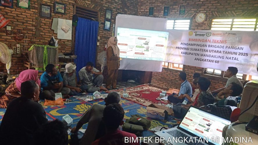 Kordinator Balai Penyuluh Pertanian(BPP) Kecamatan Siabu Madina Siap Sebagai  Fasilitator Bimtek Brigade Pangan di Kecamatan Siabu.