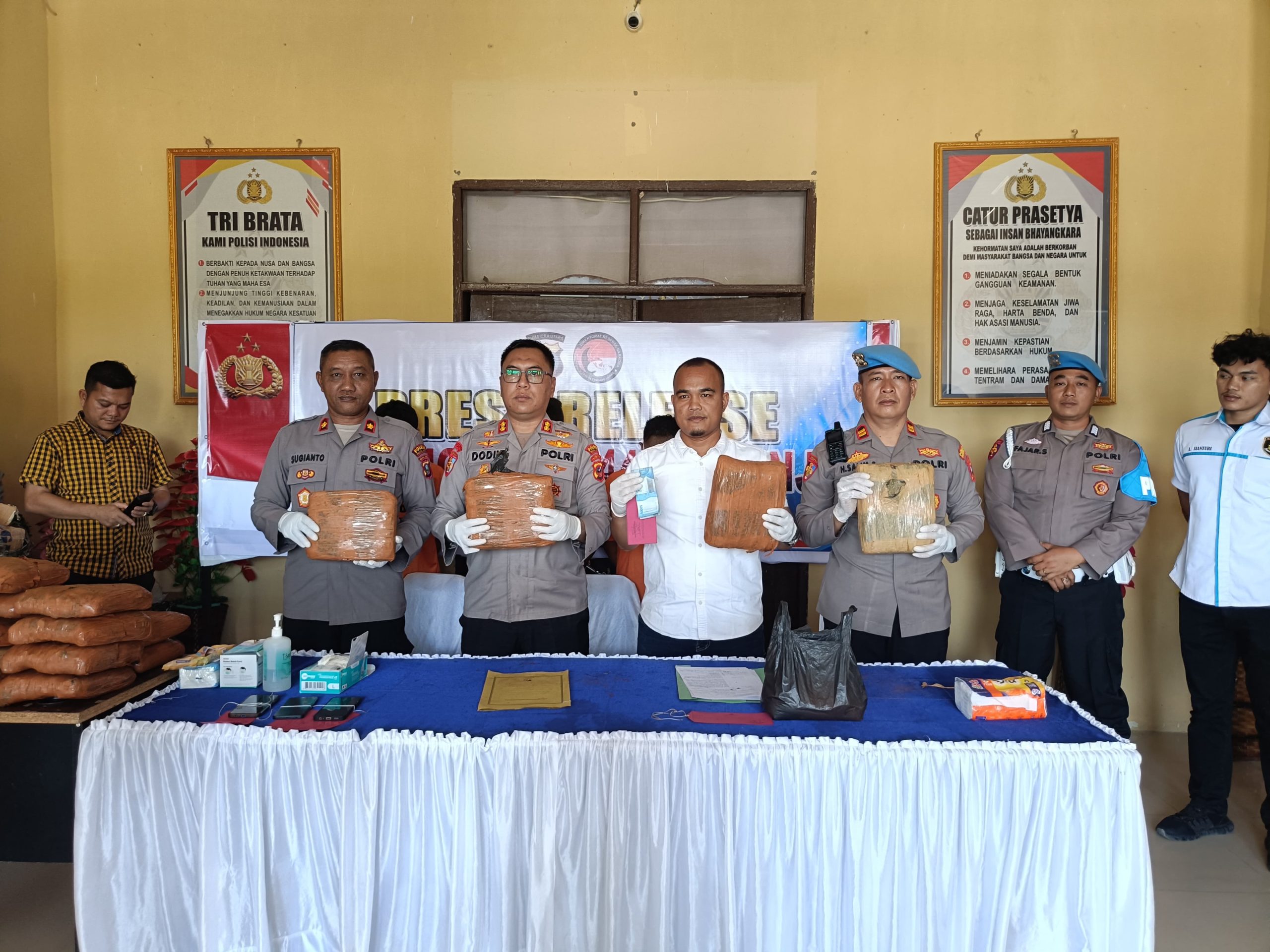 Polres Padang Lawas Pres Release Ungkap Kasus Narkotika Gol 1 jenis Tanaman Ganja Sebanyak 44 Kg