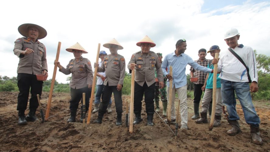 Polres Sergai Tanam Jagung Lahan 2 Hektar, Siap Mendukung Penuh Program Ketahanan dan Swasembada Pangan