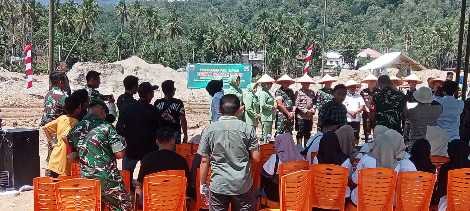 Bekas Galian Tambang Emas Ilegal Di Ubah Menjadi Areal Persawahan Di Kotanopan.